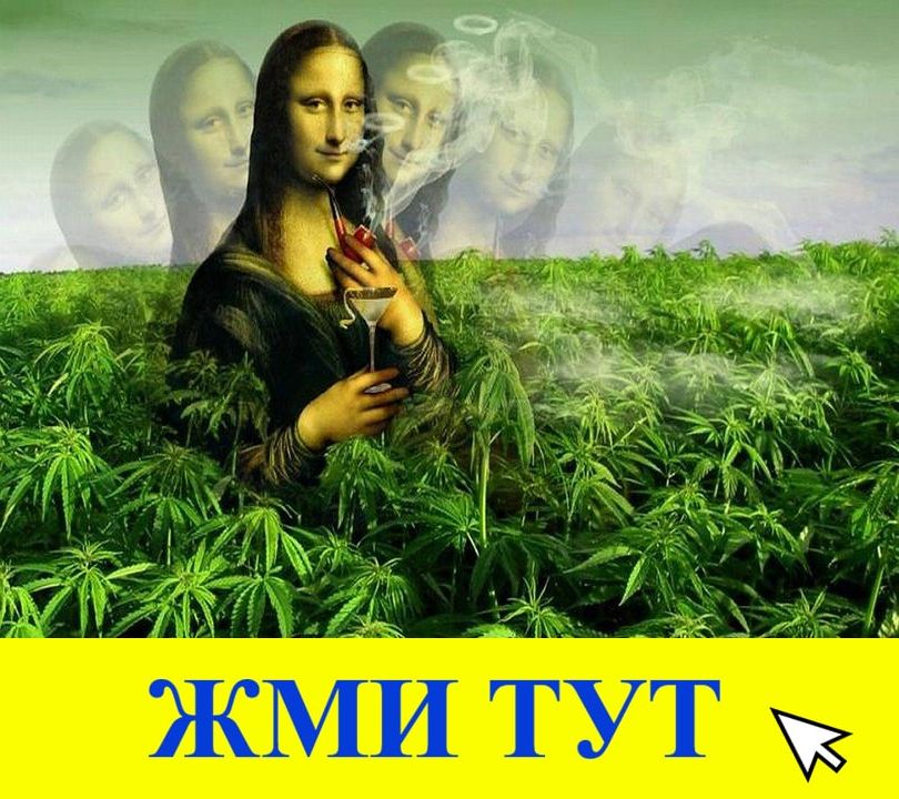 Купить наркотики в Трубчевске